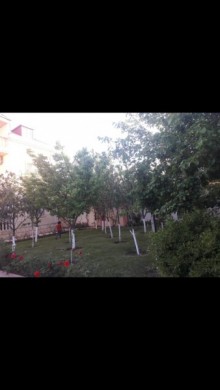 Kirayə (Aylıq) Villa, Abşeron.r, Novxanı-15