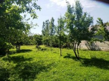 Satılır Torpaq, Qəbələ.ş-5