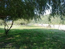 Satılır Torpaq, Qəbələ.ş-10