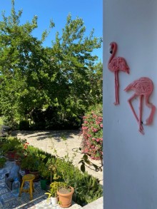 Kirayə (Aylıq) Villa, Sabunçu.r, Nardaran-17