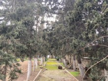 Satılır Torpaq, Xəzər.r, Mərdəkan, Koroğlu.m-3