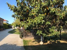 Kirayə (Aylıq) Həyət evi, Sabunçu.r, Bilgəh-9