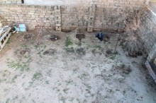 Satılır Həyət evi, Xəzər.r, Buzovna-15