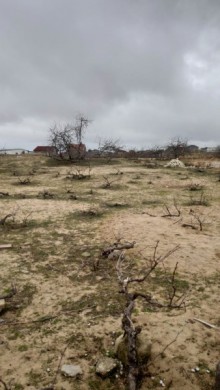 Satılır Torpaq, Sabunçu.r, Nardaran-3