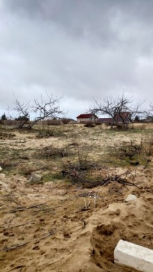 Satılır Torpaq, Sabunçu.r, Nardaran-5