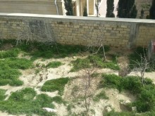 Satılır Həyət evi, Səbail.r, Badamdar-11
