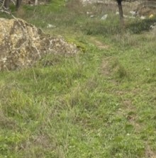 Satılır Torpaq, Binəqədi.r, 6-cı mikrorayon, Nəsimi.m-1