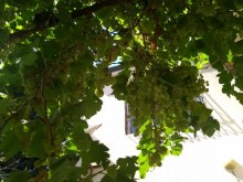 Kirayə (Aylıq) Villa, Səbail.r, Şıxov-10