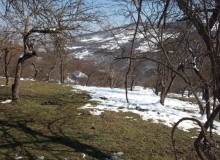 Satılır Həyət evi, Lerik.ş-6