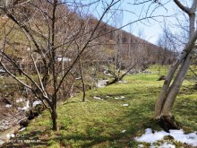 Satılır Torpaq, Qəbələ.ş-6