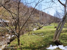 Satılır Torpaq, Qəbələ.ş-10