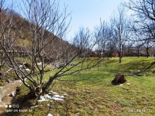 Satılır Torpaq, Qəbələ.ş-14