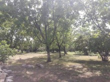 Satılır Torpaq, Qəbələ.ş-2