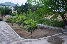 Kirayə (Aylıq) Villa, Xəzər.r, Mərdəkan-18