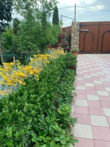 Kirayə (Aylıq) Villa, Xəzər.r, Mərdəkan-13