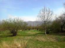 Satılır Torpaq, Qəbələ.ş-3