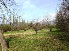 Satılır Torpaq, Qəbələ.ş-5