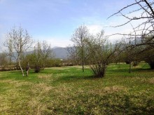 Satılır Torpaq, Qəbələ.ş-6