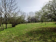 Satılır Torpaq, Qəbələ.ş-9