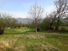 Satılır Torpaq, Qəbələ.ş-10