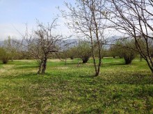 Satılır Torpaq, Qəbələ.ş-11
