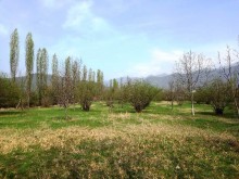 Satılır Torpaq, Qəbələ.ş-12