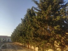 Satılır Həyət evi, Abşeron.r, Novxanı-9