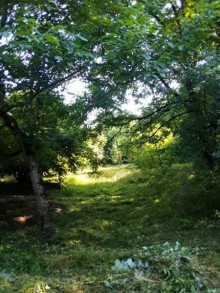 Satılır Torpaq, Qəbələ.ş-10