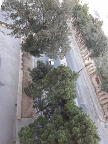 Satılır Yeni Tikili, Xırdalan.ş-16