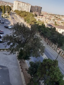 Satılır Yeni Tikili, Xırdalan.ş-17
