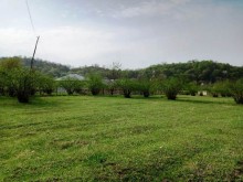 Satılır Torpaq, Qəbələ.ş-8