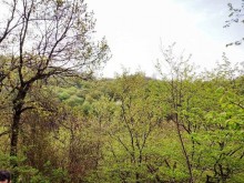 Satılır Torpaq, Qəbələ.ş-1