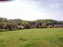 Satılır Torpaq, Qəbələ.ş-14