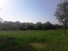 Satılır Torpaq, Qəbələ.ş-5