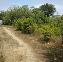 bilgeh qesebesi torpaq, -3