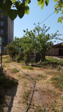 hovsanda ev alqi satqisi, -7