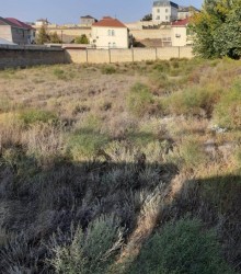 Satılır Torpaq, Səbail.r, Badamdar-2