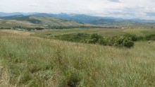 Şamaxı Çuxuryurdda torpaq, -4