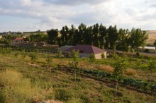 Satılır Obyekt, Şamaxı.ş-17