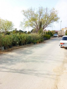 Satılır Həyət evi, Xəzər.r, Binə-16