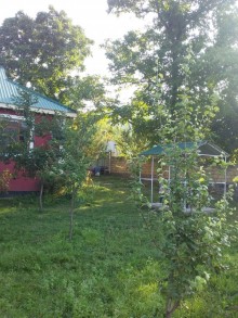 Satılır Həyət evi, Qəbələ.ş-10