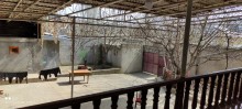 Satılır Həyət evi, Şamaxı.ş-1
