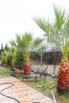 Kirayə (Aylıq) Obyekt, Xəzər.r, Binə-6