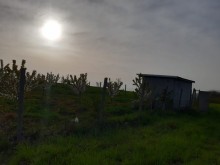 Satılır Torpaq, Şamaxı.ş-5