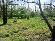 Satılır Torpaq, Qəbələ.ş-4