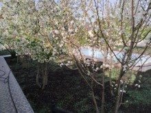 Satılır Həyət evi, Abşeron.r, Novxanı-6