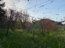 Satılır Torpaq, Xəzər.r, Mərdəkan, Koroğlu.m-5
