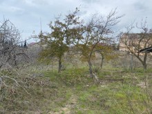 Satılır Torpaq, Xəzər.r, Mərdəkan, Koroğlu.m-5