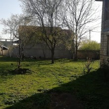 Satılır Torpaq, Qəbələ.ş-7