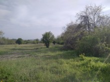 Satılır Torpaq, Qəbələ.ş-4